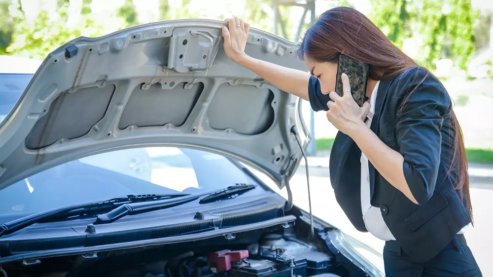 Las Mejores Compañías de Seguros de Auto en el 2024